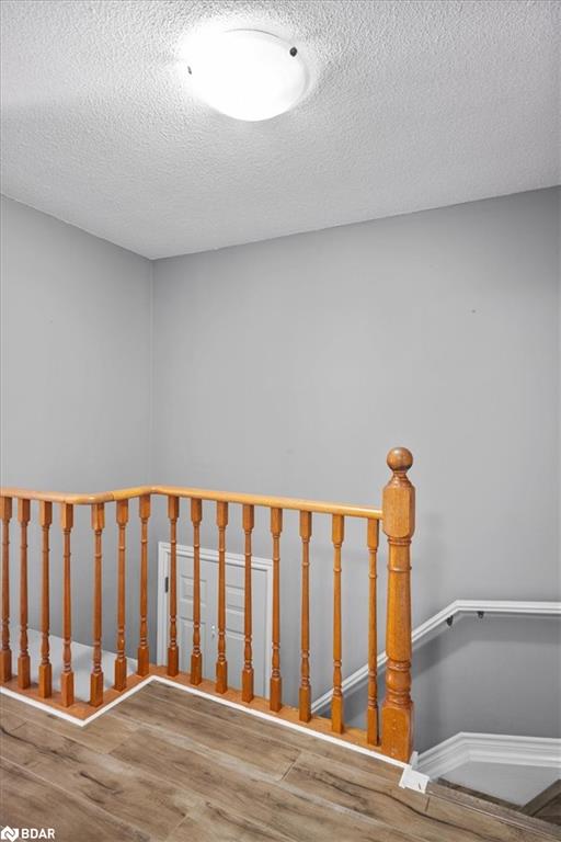 39 Laurie Crescent Property Photo 25