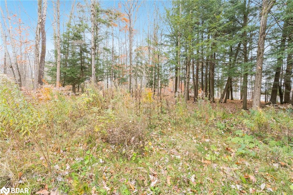 1474 Otter Point Road Property Photo 5