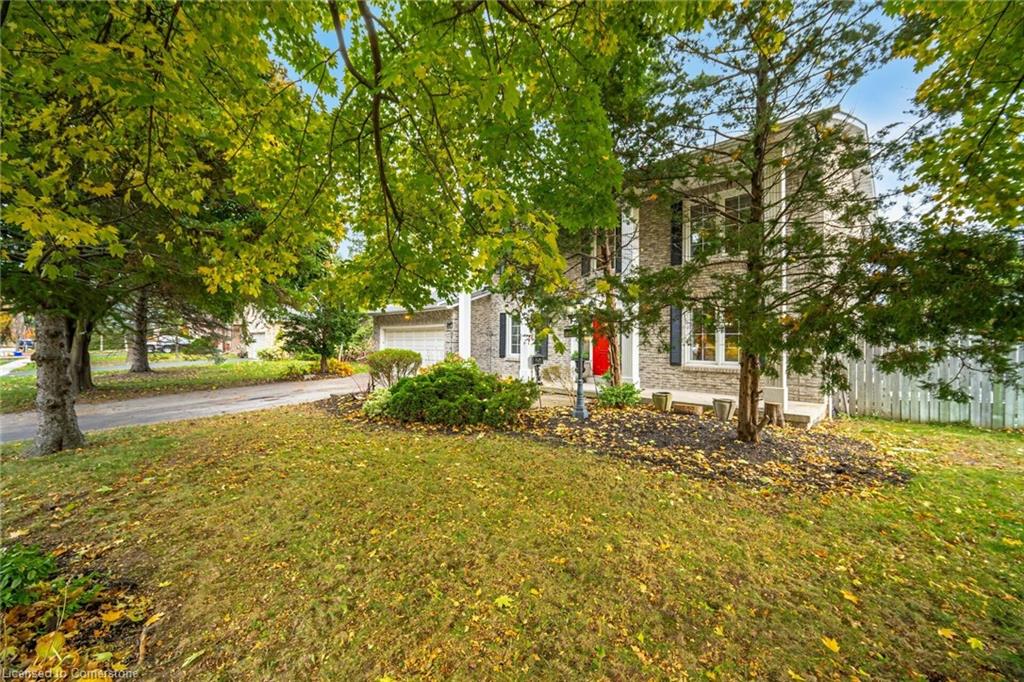 1230 Fleet Street Property Photo 3
