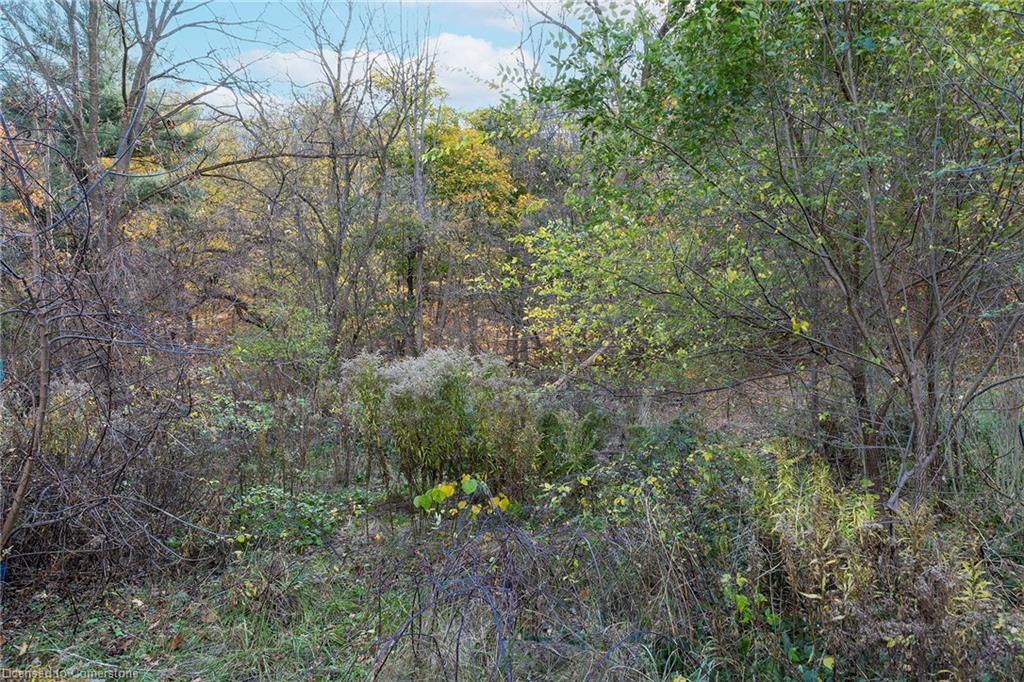 1110 Wilson Street E Property Photo 8