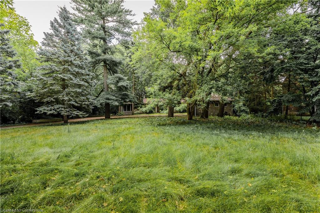 3 Edgehill Road Property Photo 6