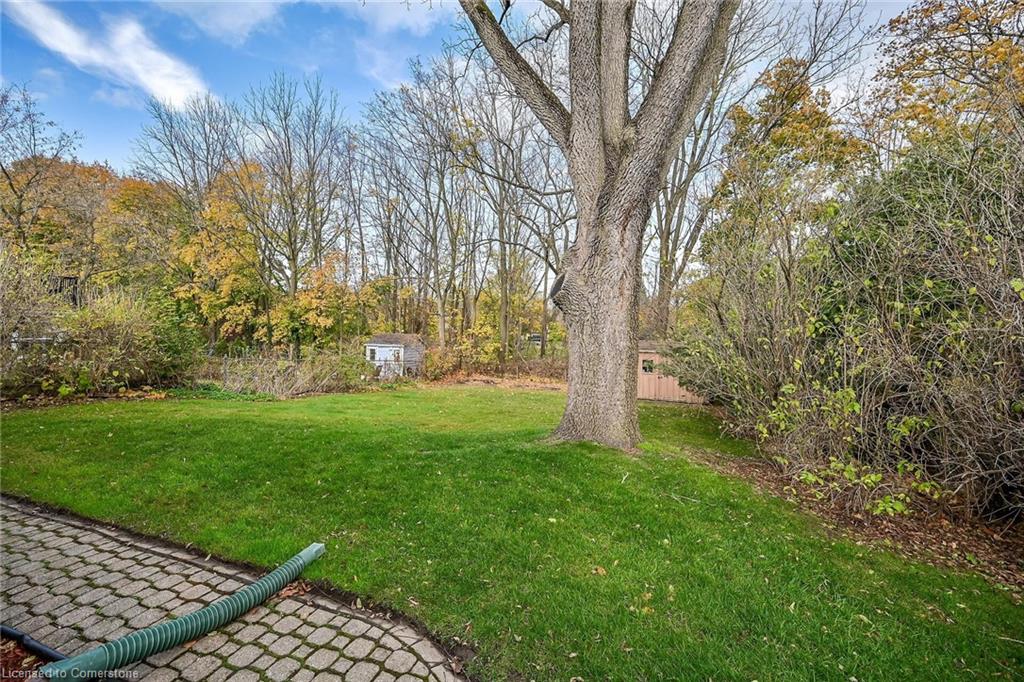 54 Little John Road Property Photo 35