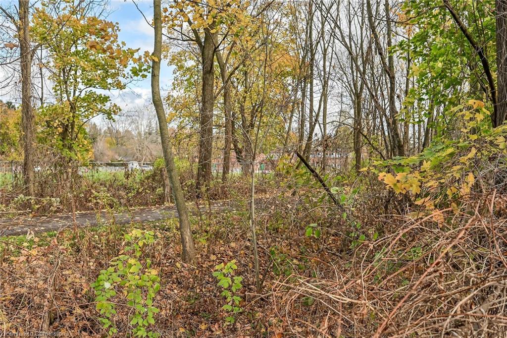 54 Little John Road Property Photo 43