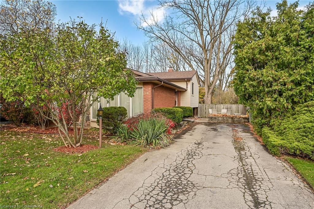54 Little John Road Property Photo 46