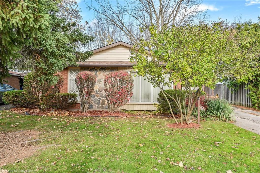 54 Little John Road Property Photo 47