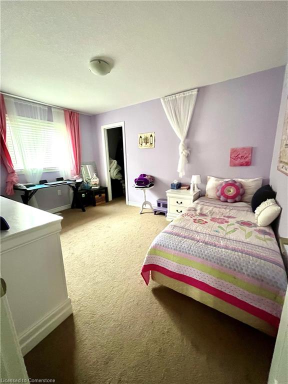 45 Fletcher Road Property Photo 36