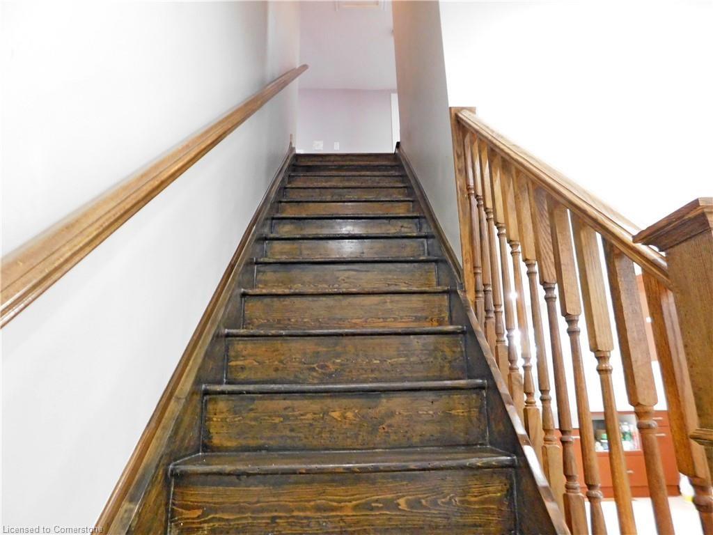 8 Harvey Street Property Photo 24