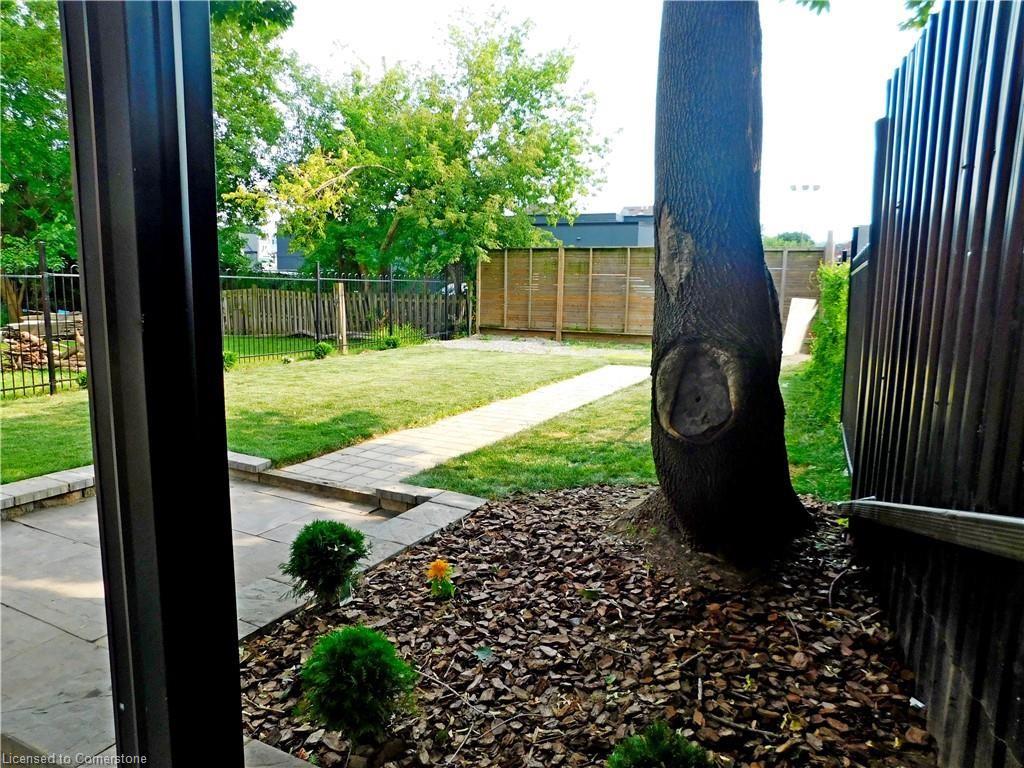 8 Harvey Street Property Photo 11