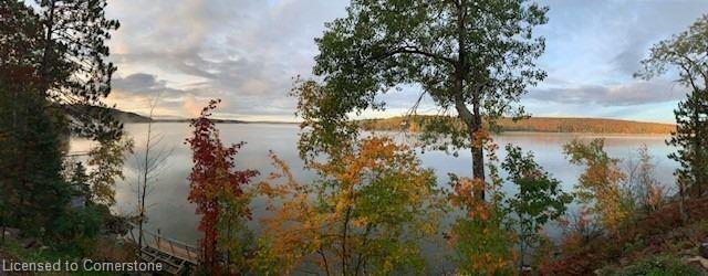 2830 Papineau Lake Road Property Photo 7