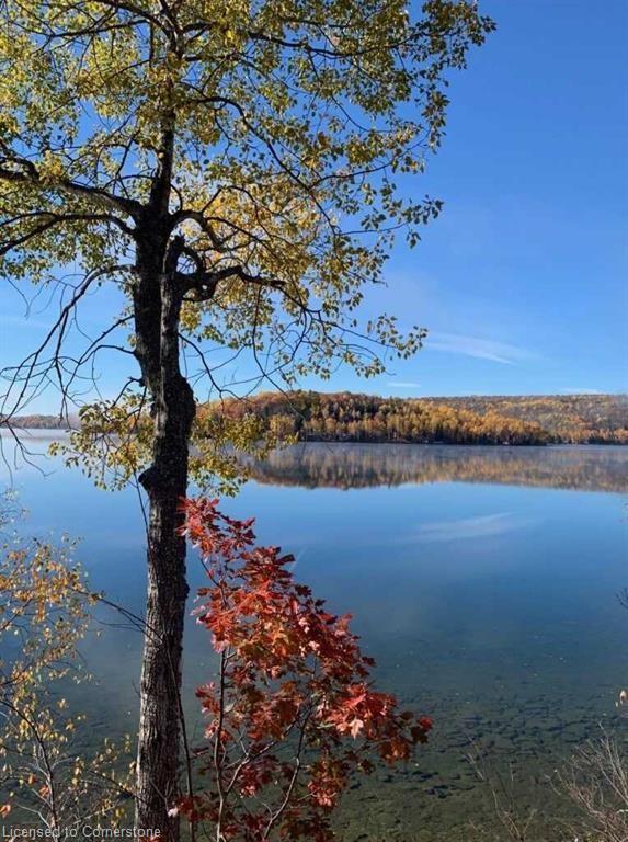2830 Papineau Lake Road Property Photo 21