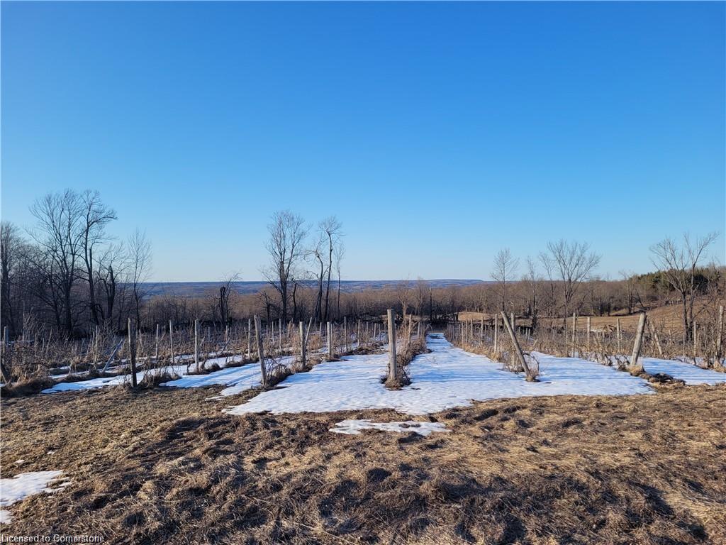 576799 Concession 9 Concession Property Photo 39