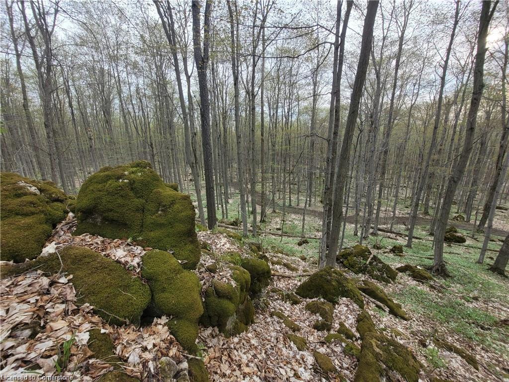 576799 Concession 9 Concession Property Photo 40