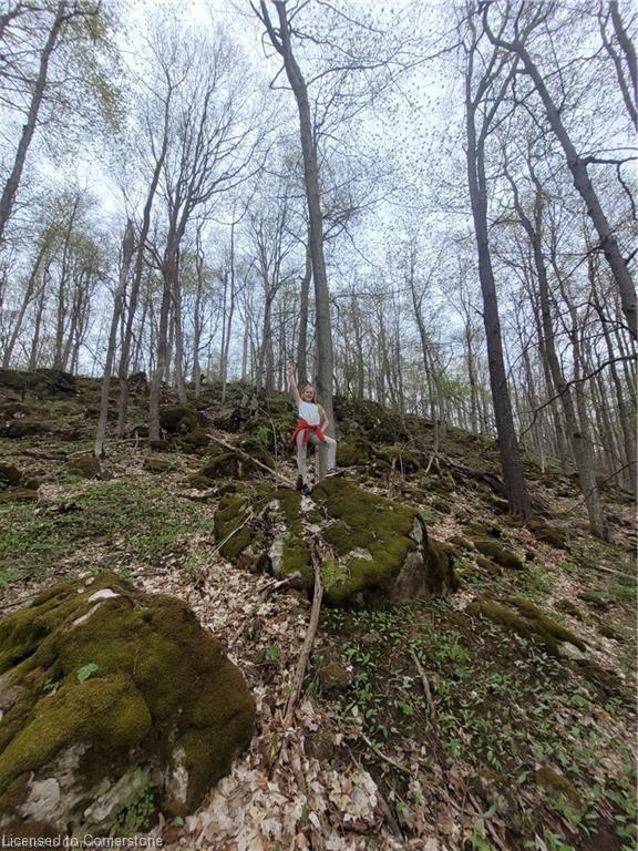 576799 Concession 9 Concession Property Photo 41