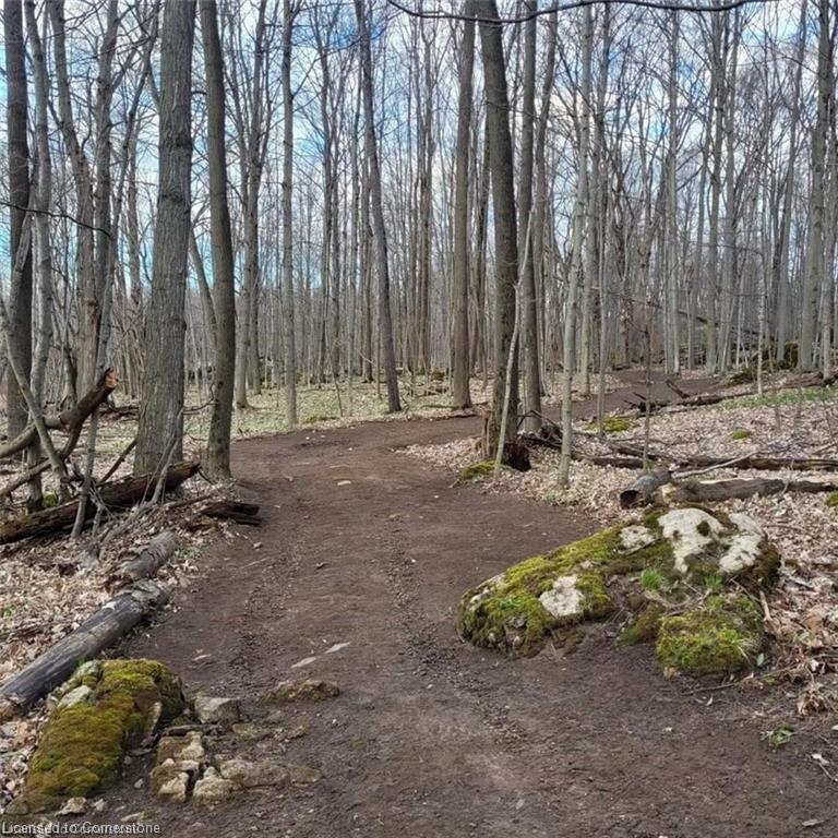 576799 Concession 9 Concession Property Photo 45