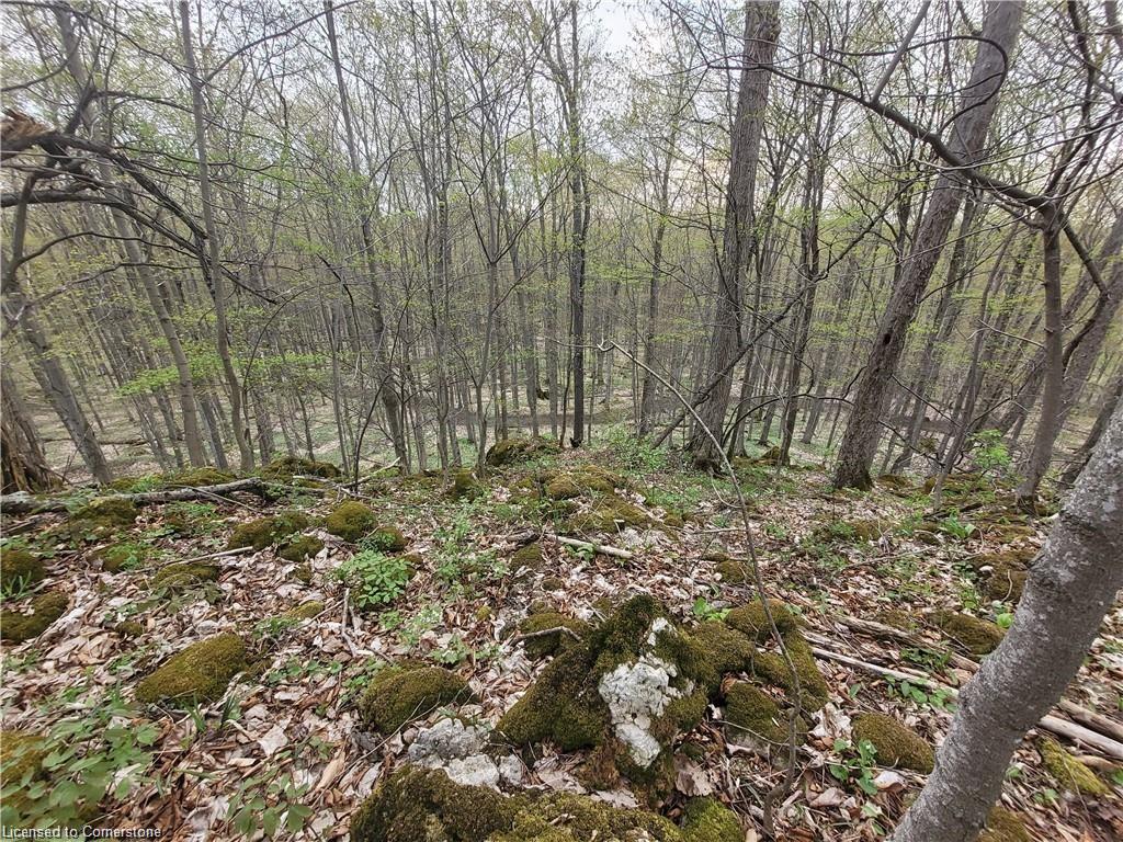 576799 Concession 9 Concession Property Photo 46