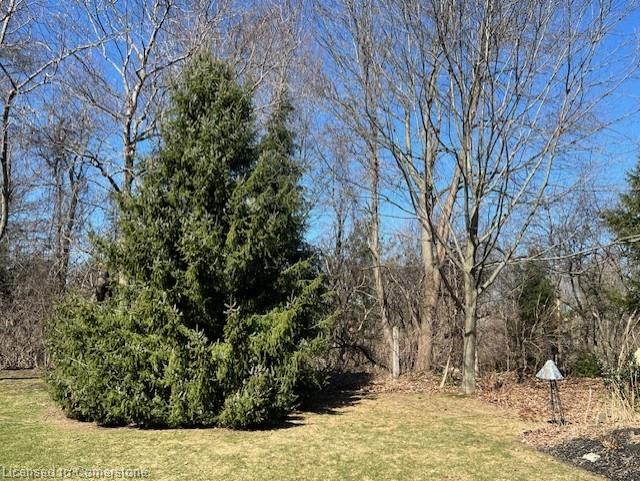 182 Valridge Drive Property Photo 43