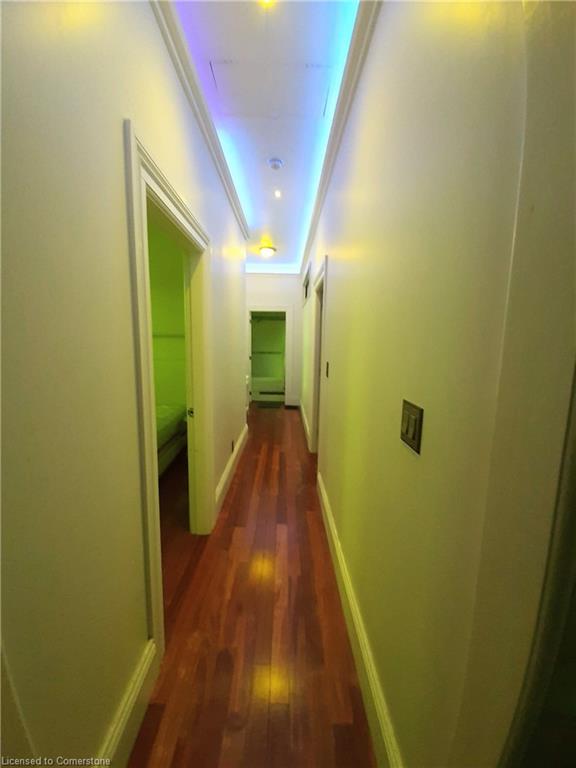 125 Charlotte Street Property Photo 23