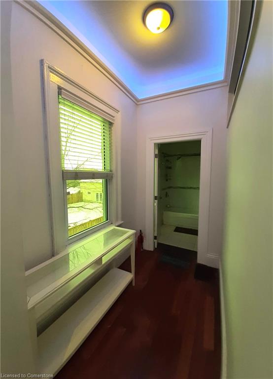 125 Charlotte Street Property Photo 24