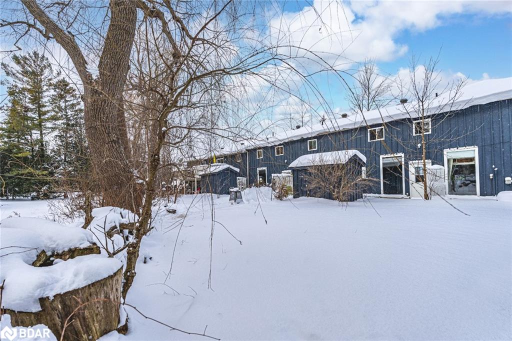 3071 Mosley Street Property Photo 4