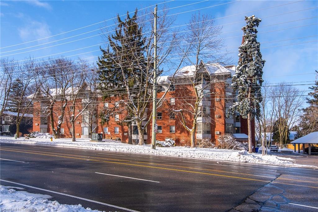 207-384 Erb Street W Property Photo 4