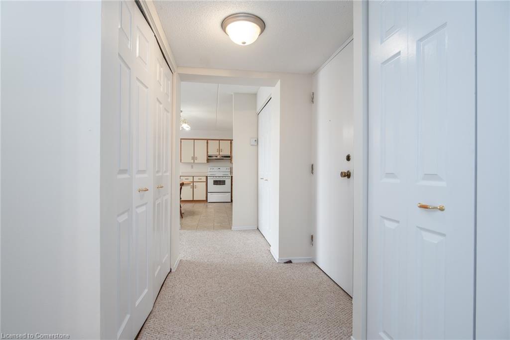 207-384 Erb Street W Property Photo 7
