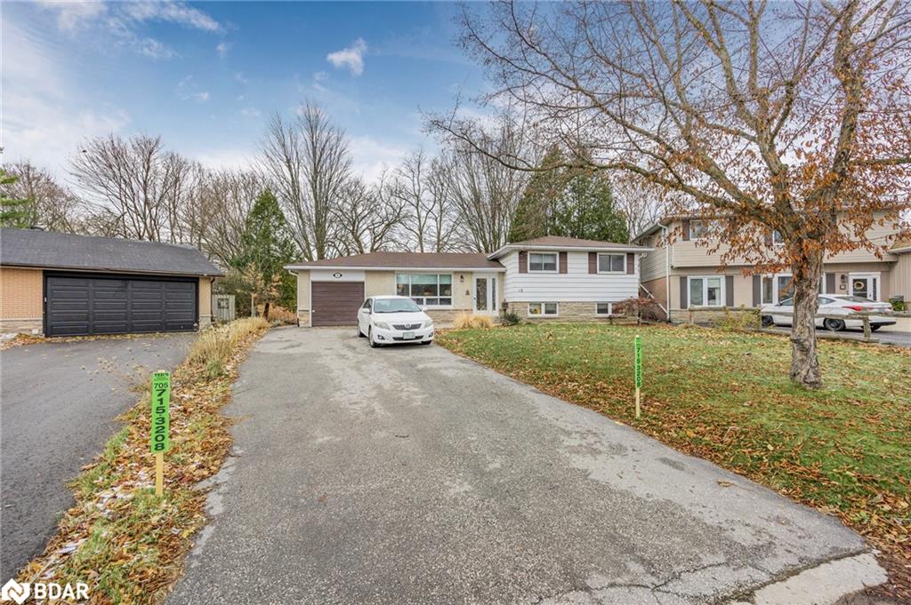 12 Curtiss Court Property Photo 4