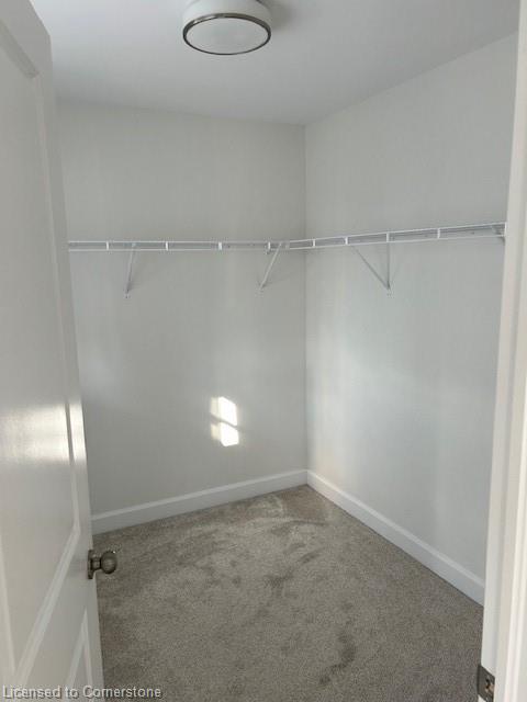 7 Erie Court Property Photo 11