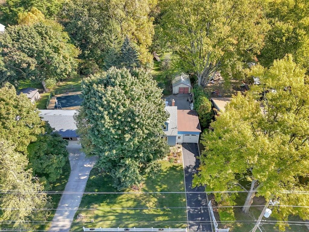 41 Locks Road Property Photo 46