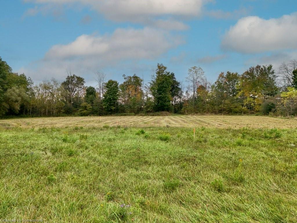 Part Lot 10 Clyde Road Property Photo 7