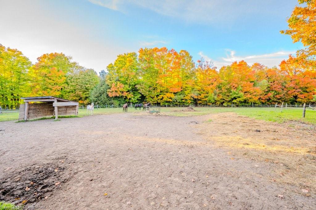 5822 2nd Line Property Photo 28
