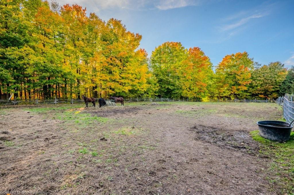 5822 2nd Line Property Photo 29