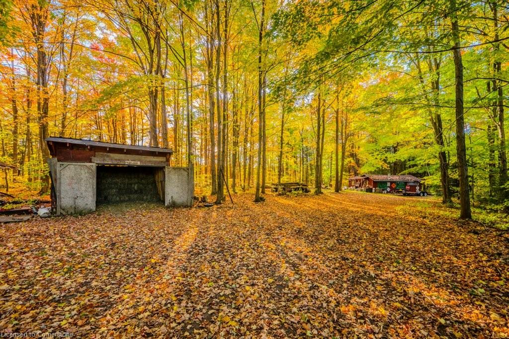 5822 2nd Line Property Photo 33
