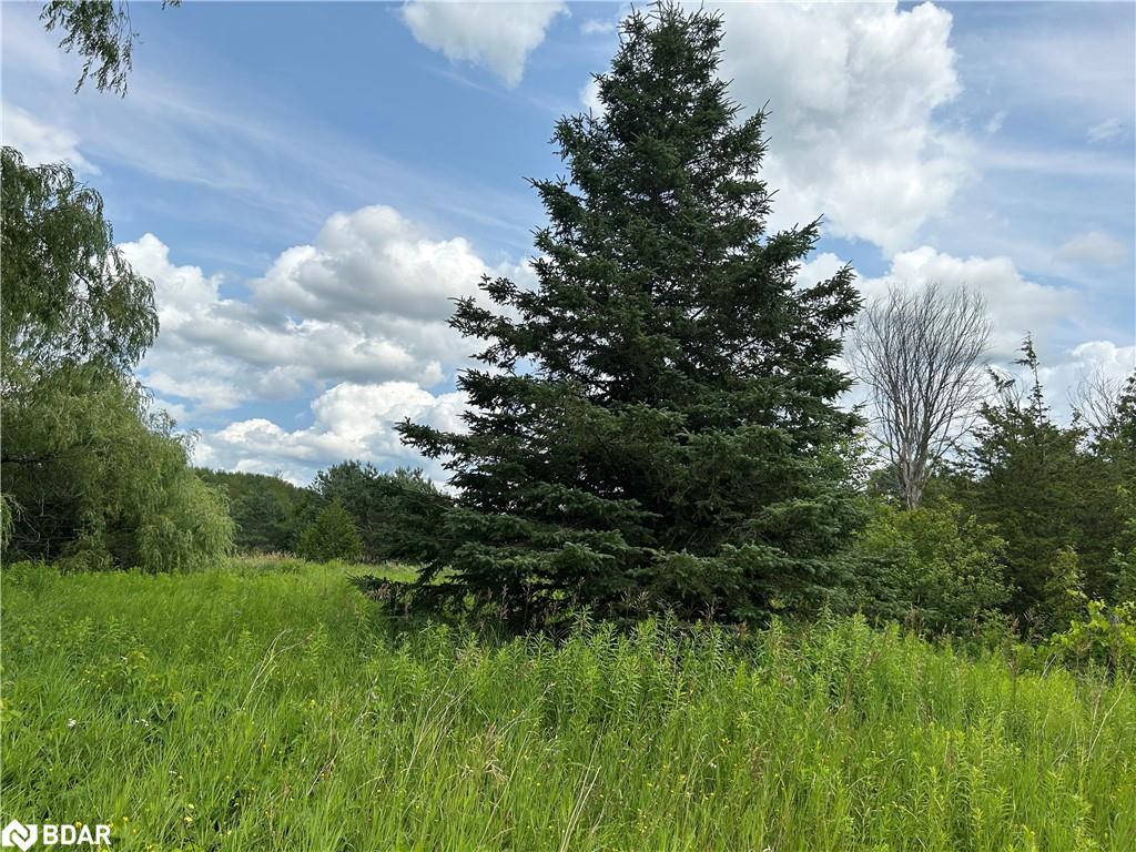 1155 Wood Road Property Photo