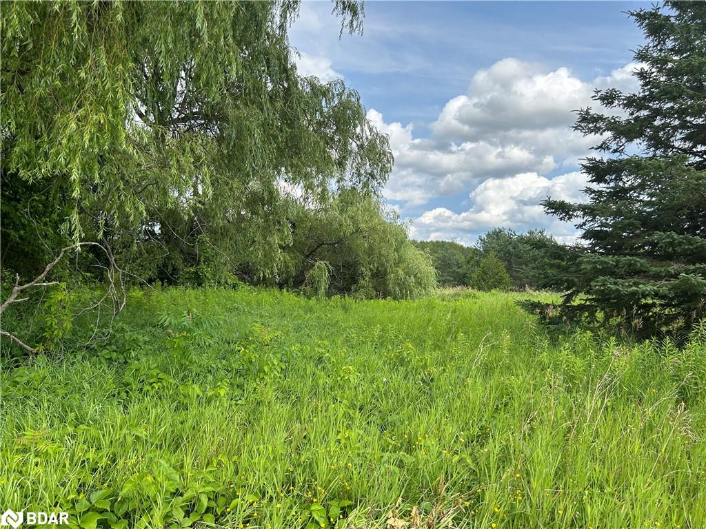 1155 Wood Road Property Photo 2