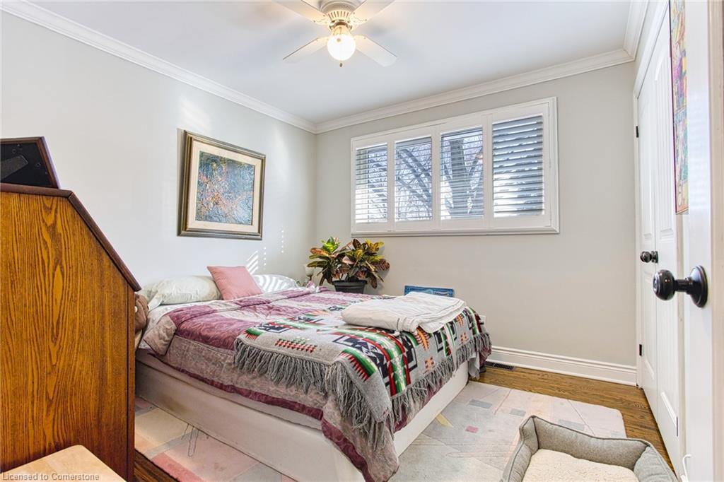 14 George Street Property Photo 16