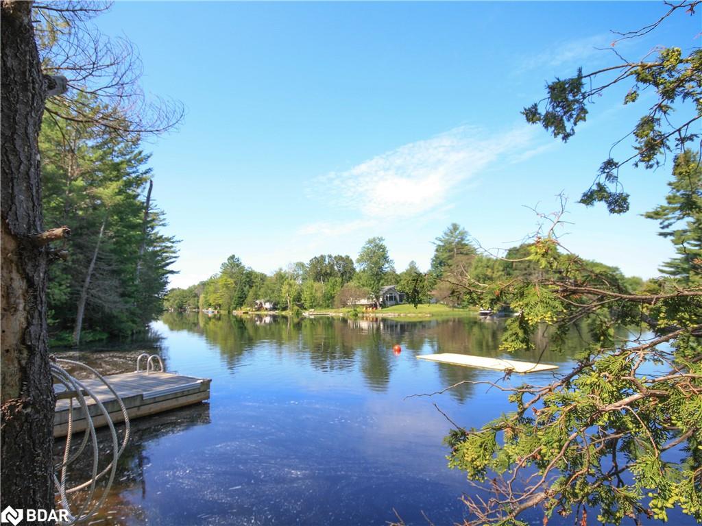 8098 Laidlaw Avenue Property Photo