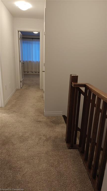 5046 Connor Drive Property Photo 18