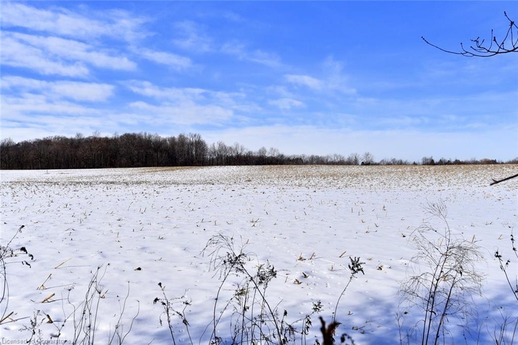 9360 Dickenson Road Road W Property Photo 36