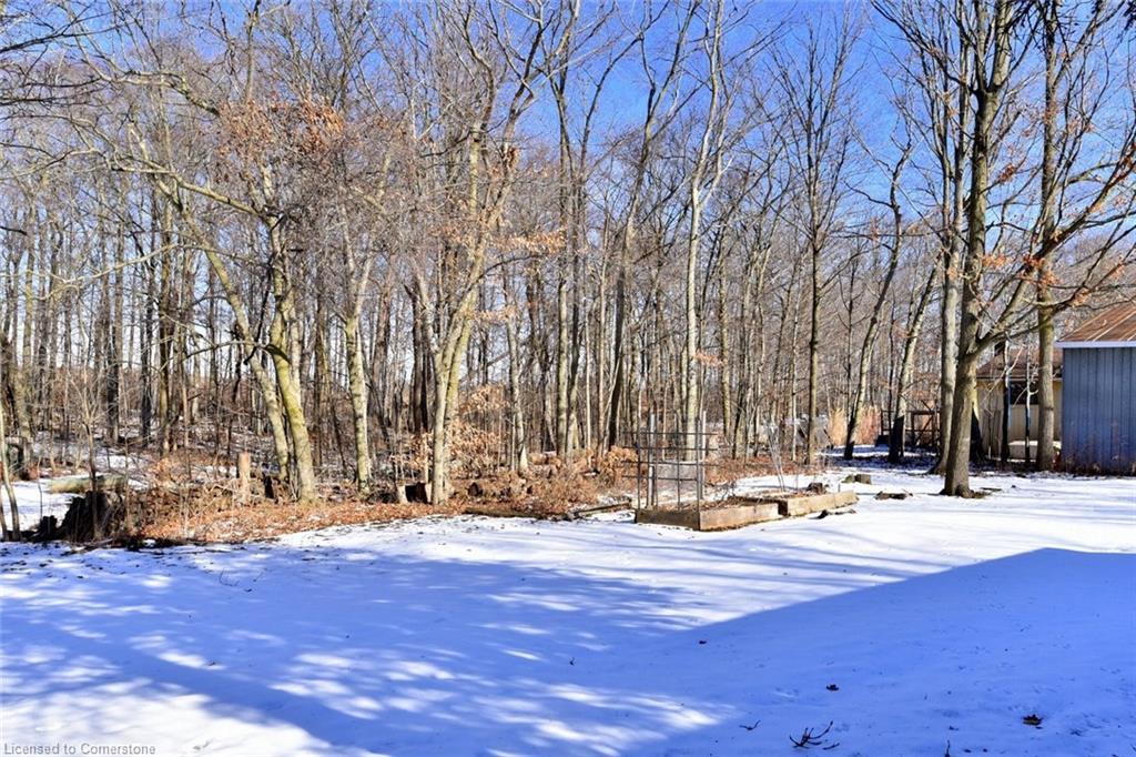 9360 Dickenson Road Road W Property Photo 38