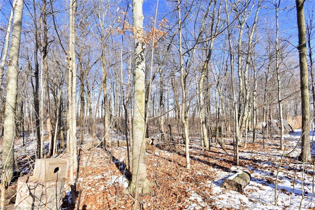 9360 Dickenson Road Road W Property Photo 39
