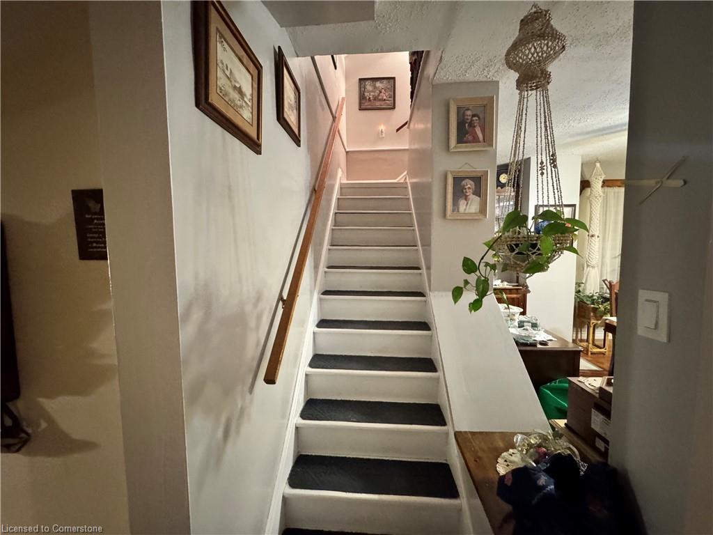 221 Samuelson Street Property Photo 4