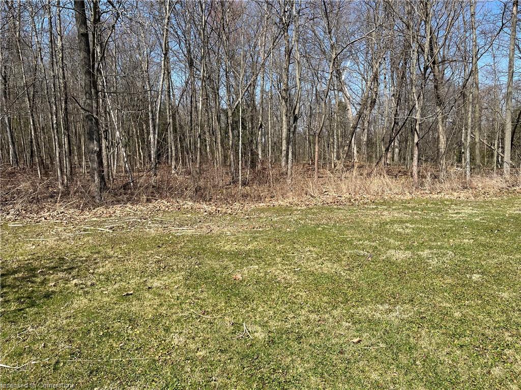 527 Avalon Lane Property Photo 9