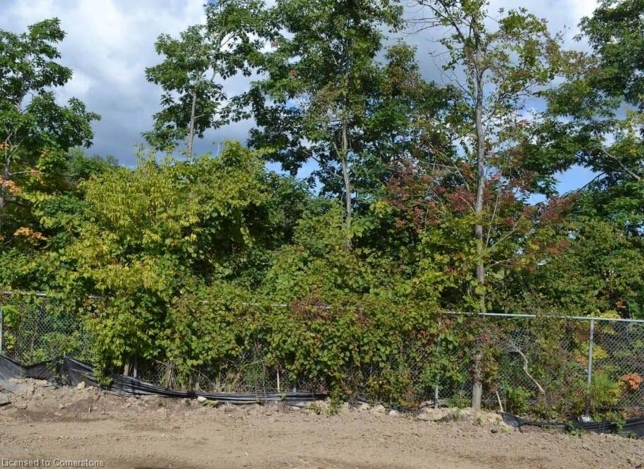 24 Revol Road Road Property Photo 28