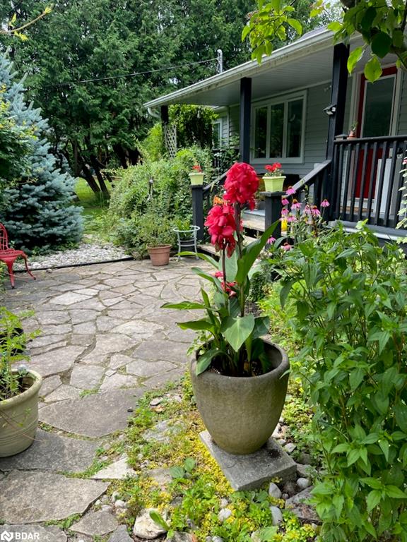24890 Thorah Park Boulevard Property Photo 17