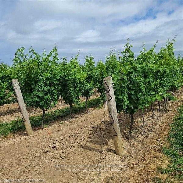 1074 Niagara Stone Road Property Photo 3