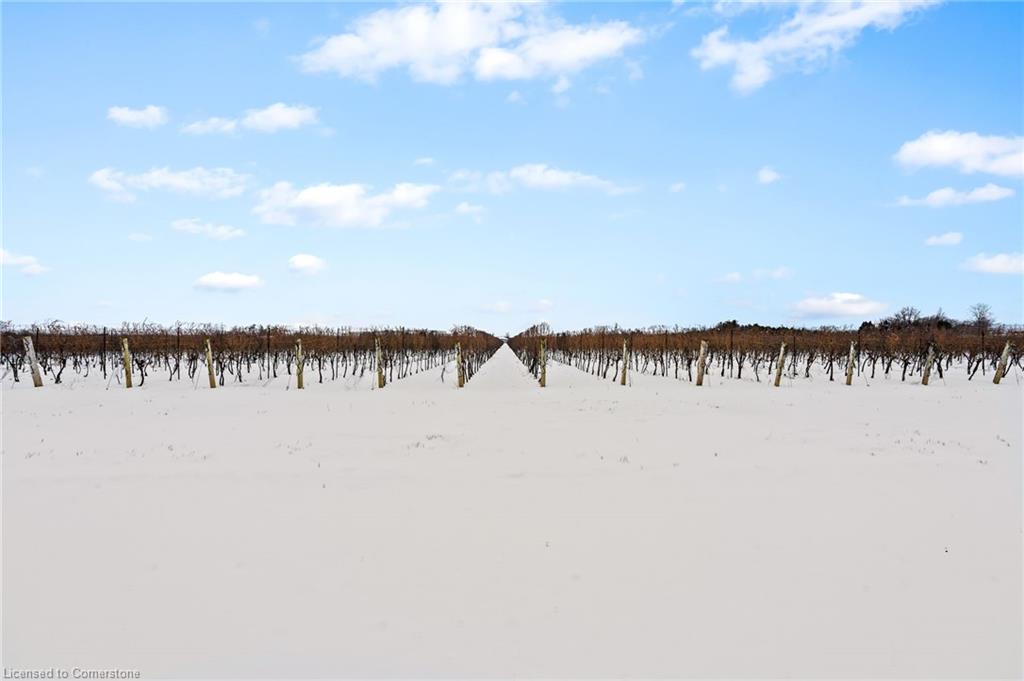 1074 Niagara Stone Road Property Photo 10