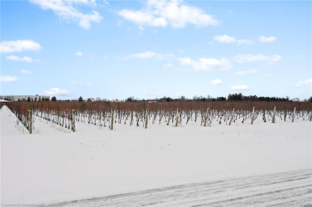 1074 Niagara Stone Road Property Photo 11