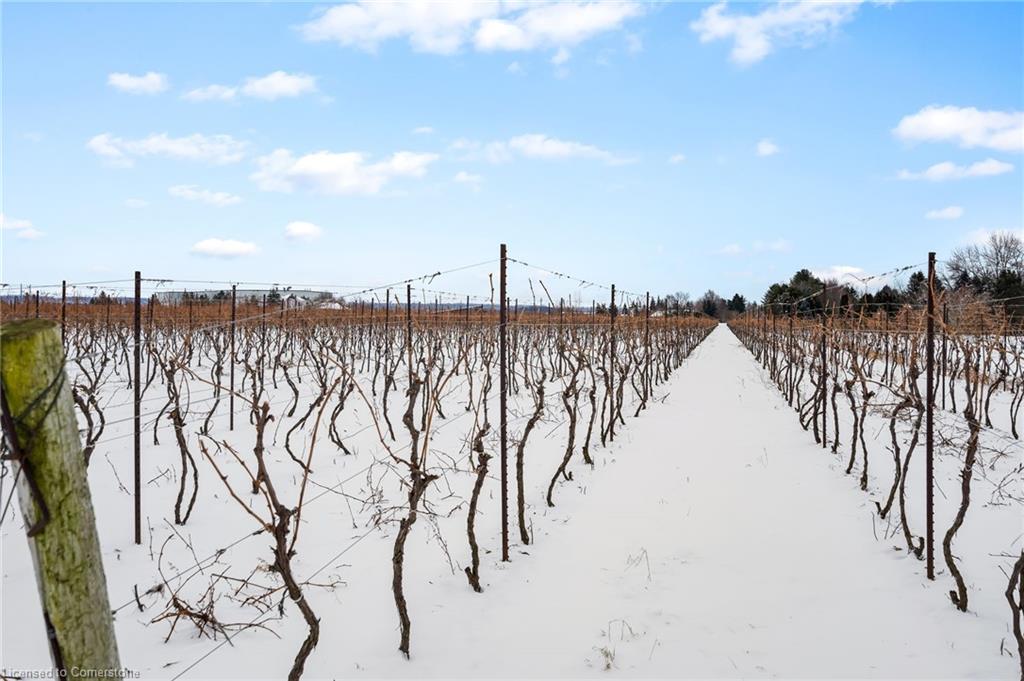 1074 Niagara Stone Road Property Photo 13