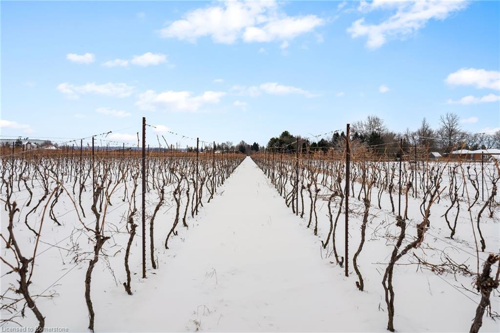 1074 Niagara Stone Road Property Photo 14