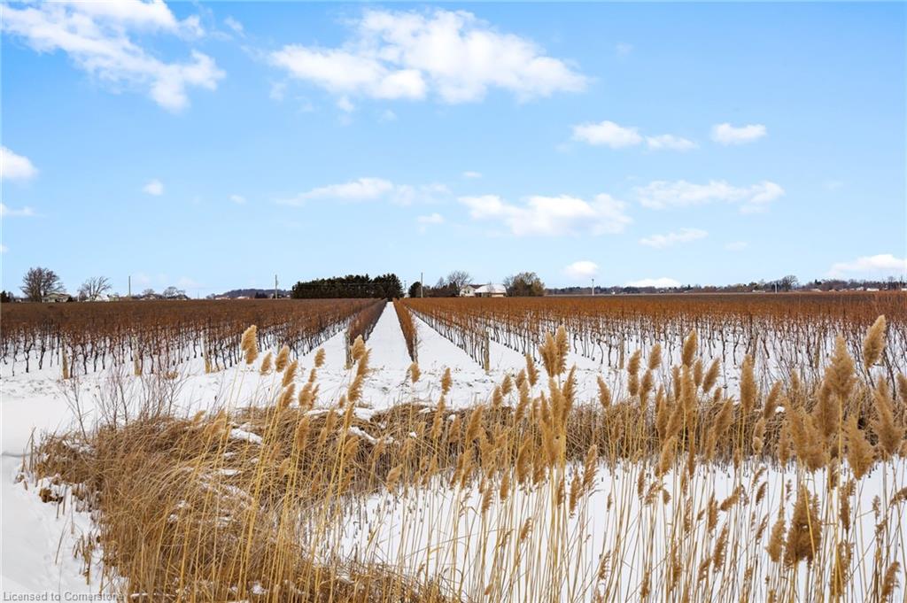 1074 Niagara Stone Road Property Photo 17